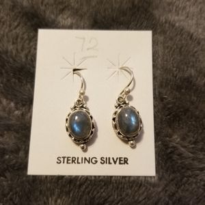 Sterling silver earth stone earrings